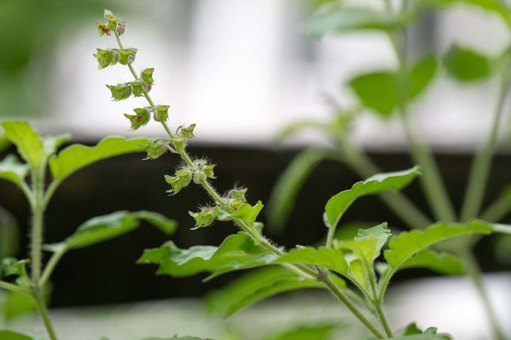 21014217_10155427793216501_1970350617486885513_o