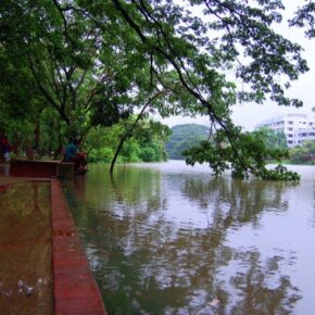 225216_5452311500_7289_n