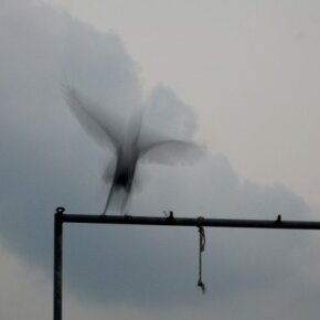 225976_5452536500_622_n