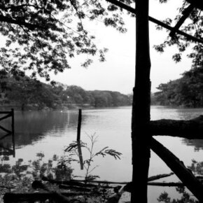 228546_5452306500_6960_n