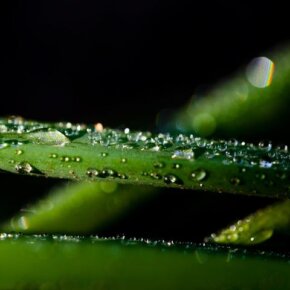 242386_10151040424591501_734358216_o