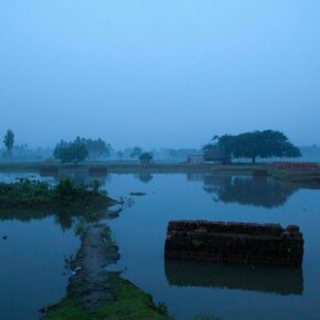 243096_10151055629481501_689867702_o