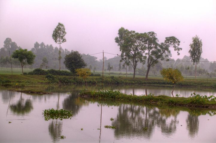 244141_10151052942686501_1216928133_o