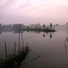 256041_10151055634126501_1579700441_o