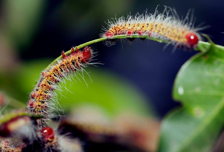 257630_10151018484736501_880588996_o