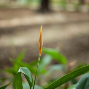 258004_10151040424241501_1571305974_o