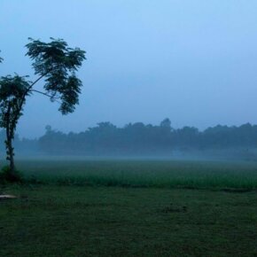 258083_10151055630661501_329670840_o