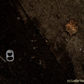 26466_384722981500_3330555_n