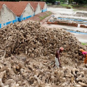 27206_385869311500_1420411_n