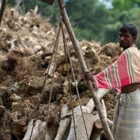 27206_385876896500_2254894_n