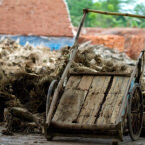 27206_385876906500_74998_n