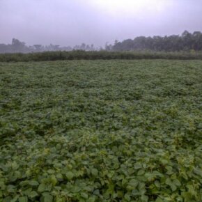 277200_10151055636931501_153915648_o