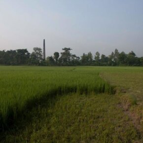 280523_10151056373206501_1498340865_o