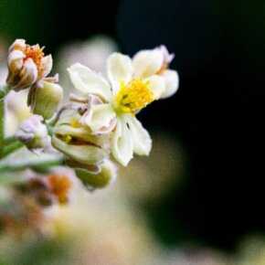 29387_391556396500_7565902_n