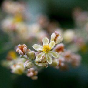 29387_391556401500_4985263_n