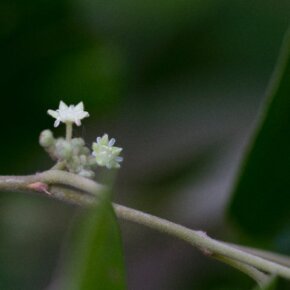 29387_391556411500_3954800_n