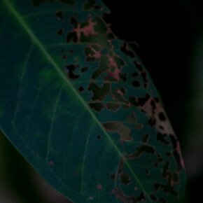 29387_391556441500_2808394_n