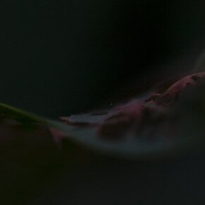 29387_391556446500_6824402_n