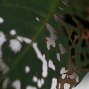 29387_391556451500_6699511_n