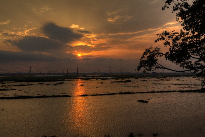 30187_395195586500_5210081_n