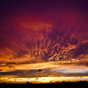 31407_401758236500_6437957_n