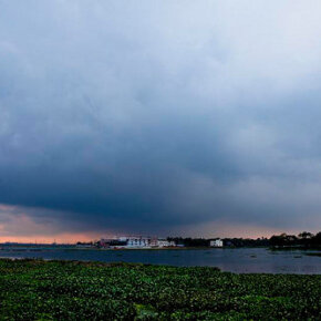 31637_399324876500_3101815_n