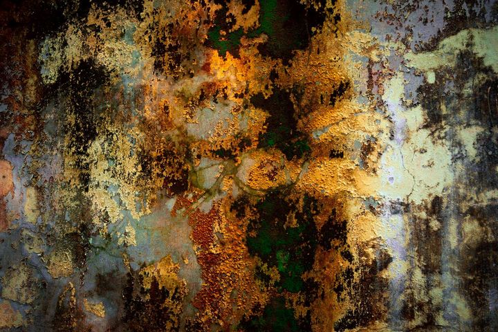 31882966_10156032240601501_5938781658206437376_n