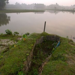 322544_10151055635096501_927412549_o