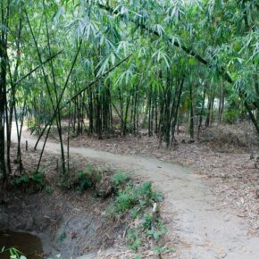 328839_10151056372371501_1083797199_o