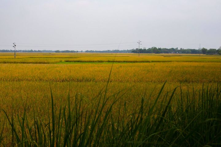 33045032_10156069922386501_8492470191937028096_n