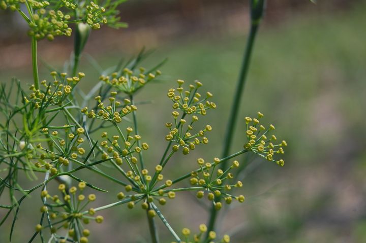 33475138_10156077602586501_8048229754437894144_n