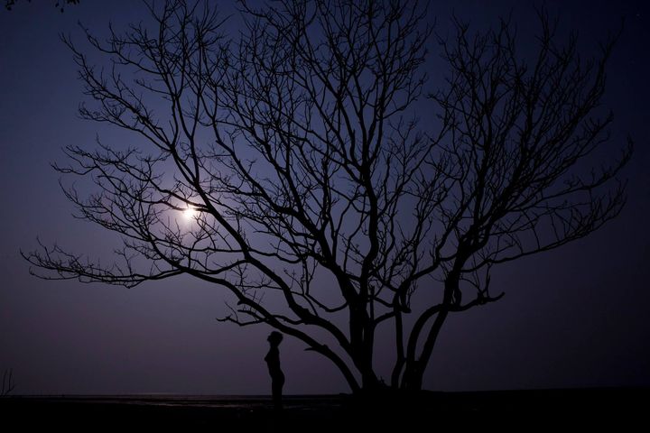 37812520_10156208199881501_6720435198925733888_n