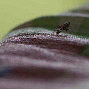 38307_411778086500_255091_n