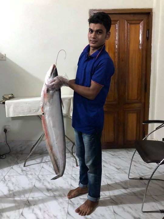 42984880_10156352864751501_5322259559794868224_n