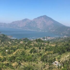 43591440_10156369347791501_1294046849983840256_n