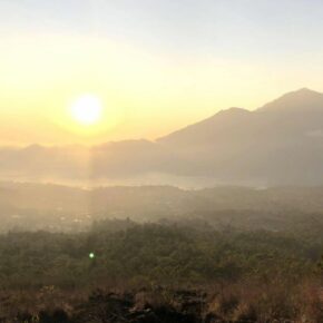 43610562_10156372800096501_6836885098193747968_n