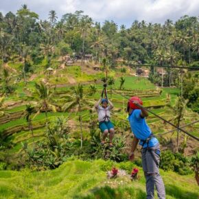 43645930_10156372071051501_4164848727736975360_n