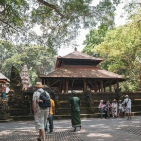 43677301_10156372081481501_1792291450348634112_n