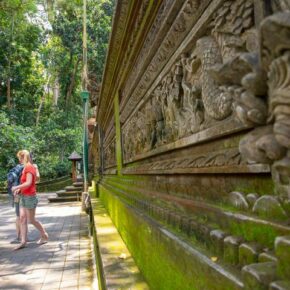 43681848_10156372072121501_6660652054484090880_n