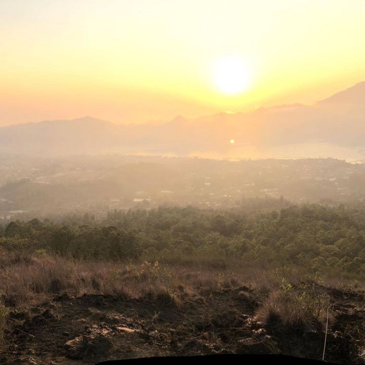 43706421_10156372802436501_7178910695642103808_n