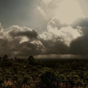 43763745_10156372038906501_3730267706046283776_n