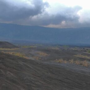 43773342_10156373777016501_21270456166252544_n