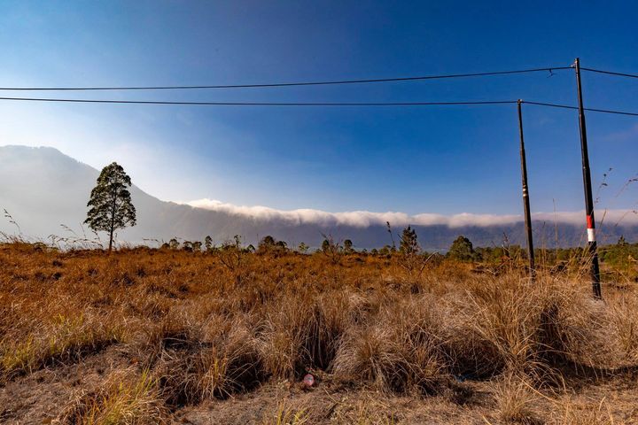 44193183_10156385173036501_2442949137079992320_n