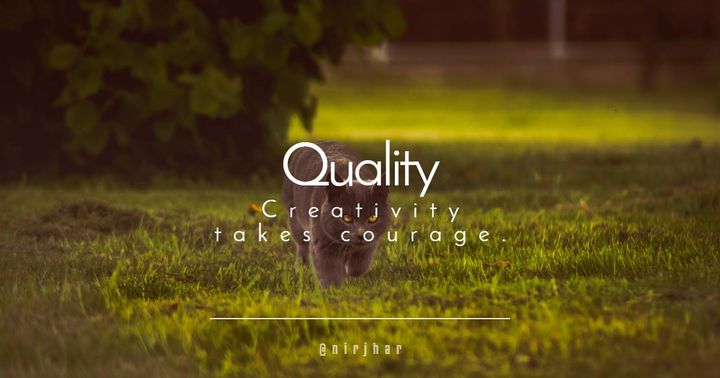 44883301_10156403894061501_1258539900081274880_n