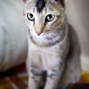 461830_10150787842936501_138271811_o