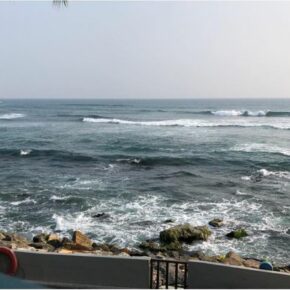 46353080_10156443048161501_5680348674232680448_n