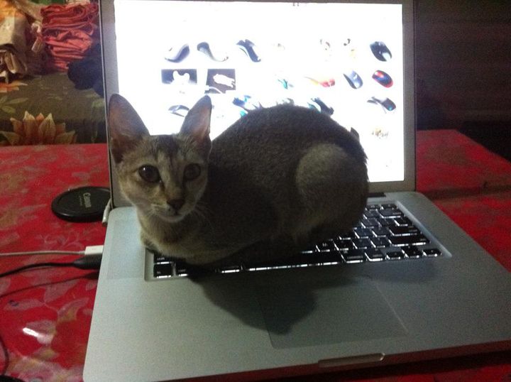 46553_10151060578616501_592605442_n