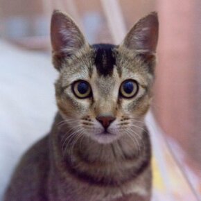 472154_10150787860301501_2090569857_o-1