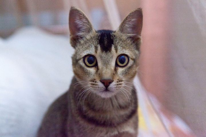 472154_10150787860301501_2090569857_o