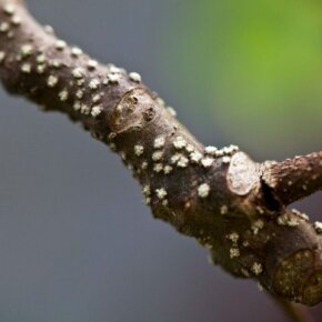 55019_10151052662646501_1957945017_o